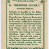 Philippine Sunbird.