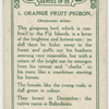 Orange Fruit-pigeon.