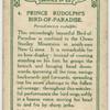 Prince Rudolph's Bird-of-Paradise.