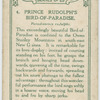 Prince Rudolph's Bird-of-Paradise.