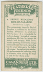 Prince Rudolph's Bird-of-Paradise.