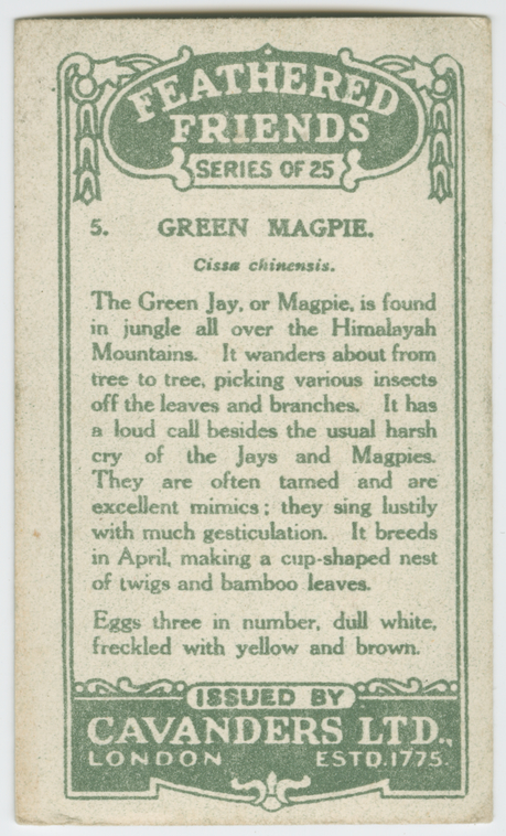 Index