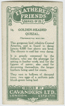 Golden-headed Quesal.