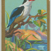 Black-capped Kingfisher.