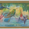 Humming Birds.