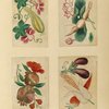 Vegetables ; Vegetables ; Vegetables ; Vegetables 