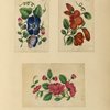 Flowers ; Flowers ; Flowers