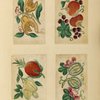 Vegetables and fruit ; Vegetables and fruit ; Vegetables and fruit ; Vegetables and fruit 