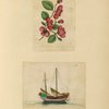 Flowers ; Boat