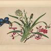 Black and blue butterfly with white and pink flowers.