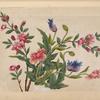 Pink and blue flowers