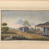 People working in tea field, woman with baskets at the house to the right.