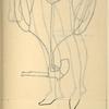 A man with a gun head