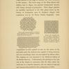 Stucco gilt stamped patterns of diaper from paintings in St. Stephen's Chapel. [...] Stucco gilt stamped pattern of diaper, formerly on the background of the Westminster Abbey portrait of Richard II, [...]