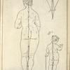 Lam. 4 fig. 4, fig. M., fig. 6.