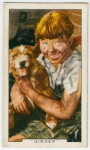 Ginger.