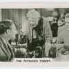 The petrified forest.