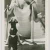 Elizabeth Allan.