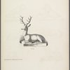 Design of stag in lying position on low base