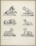Designs of various animals on low bases