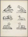 Various animals: boar, wolf, lion, sheep, and dogs, on low bases