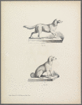 Designs of two dogs, on low bases