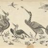 Design of birds catching insects
