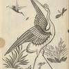 Design of crane, smaller birds catching insects