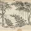 Design of trees; bird in one tree