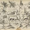 Design of monkeys, rabbits, stags, bird