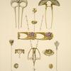 1. Peigne, corne blonde sculptée, olivine. 2. Peigne, écaille blonde, or, émaux translucides et aigue-marines. [...]