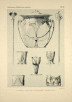 1 et 3. Brochettes. 2. Seau à biscuits. 4, 5 et 6. Coquetiers. 7 et 8. Ronds de serviettes.