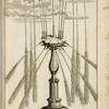 Fountain with multiple spouts