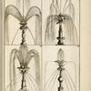 Four fountains with multi-directional spouts on several levels and several central shapes