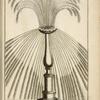 Fountain with multi-directional spouts from one central shape