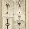 Four fountains with multiple spouts and central shapes; one with central sun shape