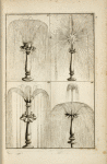 Four fountains with multiple spouts and central shapes; one with central sun shape.