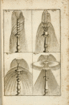Four fountains with multiple circular spouts