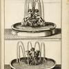 Two fountain sculptures; one with two nude youths holding the central spout; one with nude youth holding two dolphins