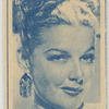 Anne Sheridan, Warner Bros.
