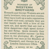 Western Brothers.