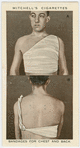 Bandages for chest and back.