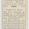 Pomeranian Bream.