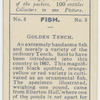 Golden Tench.