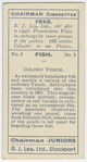 Golden Tench.