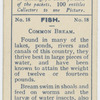 Common Bream.