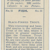 Black-finned Trout.