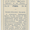 Short-headed Salmon.