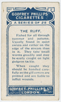 The ruff.