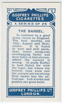 The barbel.